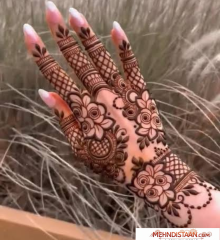 Elegant Stylish Back Hand Mehndi Design